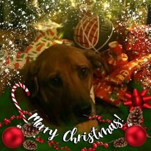 Meet your Posher, Stacey